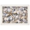 Trendy Decor 4U "Starfish & Seashells" Framed Wall Art, Modern Home Decor Framed Print for Living Room, Bedroom & Farmhouse Wall Decor by Lori Deiter