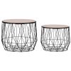 Coffee Table 2 pcs Black