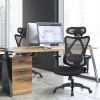 High Back Mesh Executive Chair with Adjustable Lumbar Support