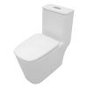White Ceramic One Piece Toilet,Dual Flush with Soft Close Seat